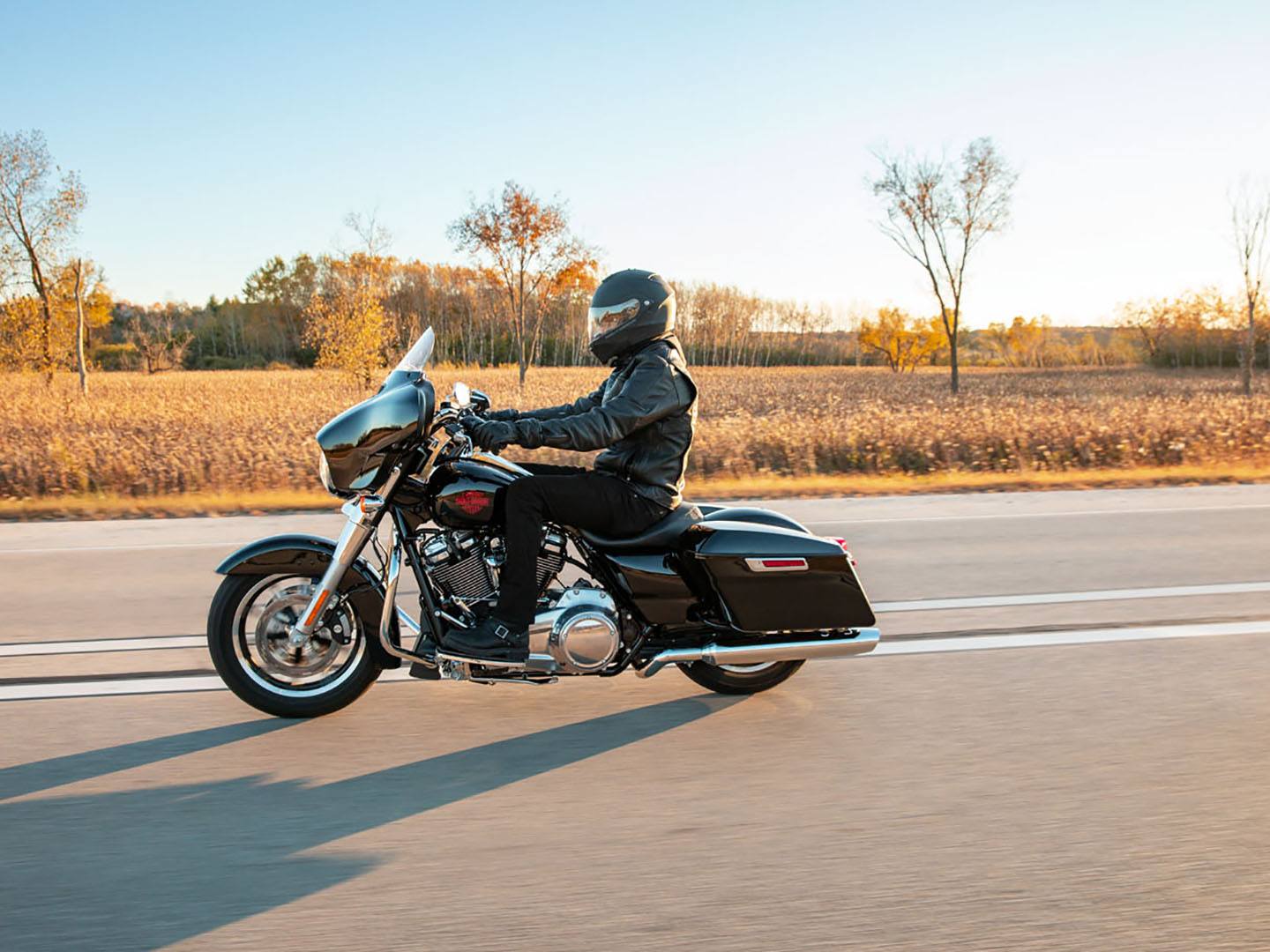 2021 Harley-Davidson Electra Glide® Standard in Omaha, Nebraska - Photo 16