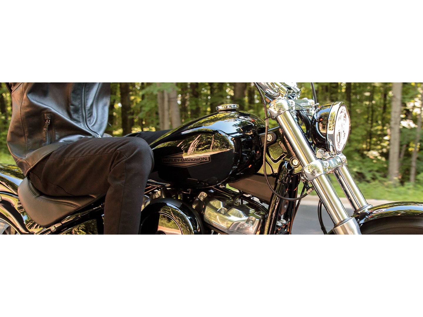 2022 Harley-Davidson Softail® Standard in Chippewa Falls, Wisconsin - Photo 2