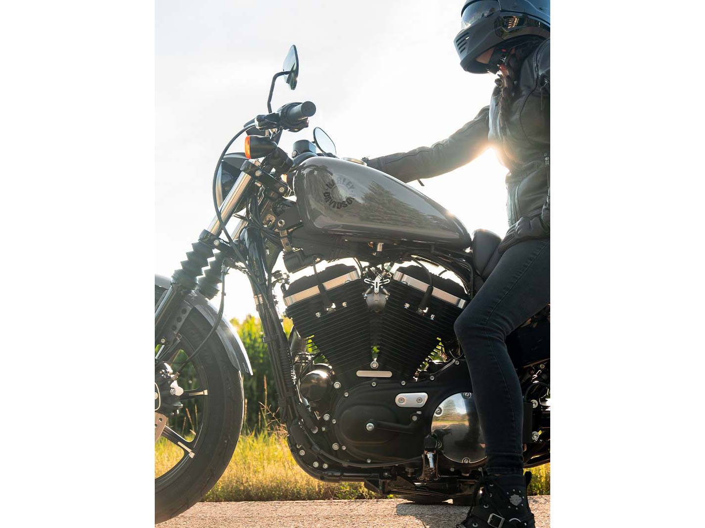 2022 Harley-Davidson Iron 883™ in Greensburg, Pennsylvania - Photo 8