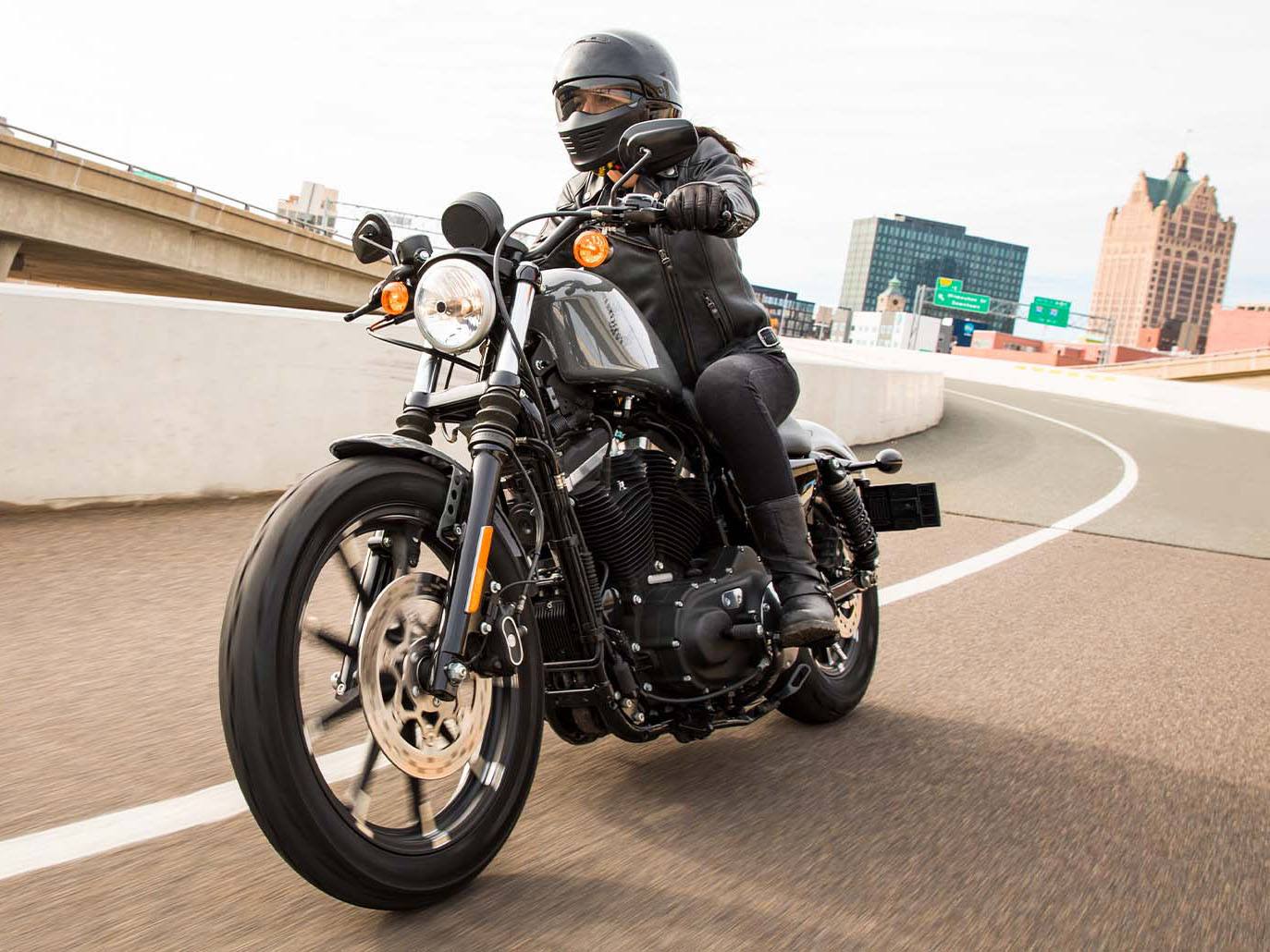 2022 Harley-Davidson Iron 883™ in Ukiah, California - Photo 3