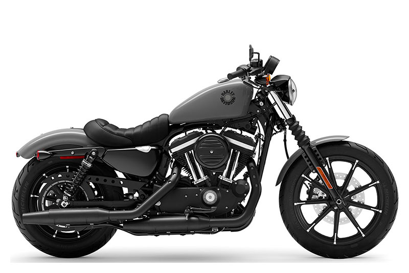 2022 Harley-Davidson Iron 883™ in San Francisco, California - Photo 1