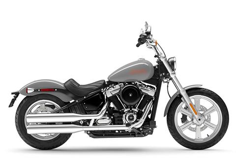 2024 Harley-Davidson Softail® Standard in Loveland, Colorado