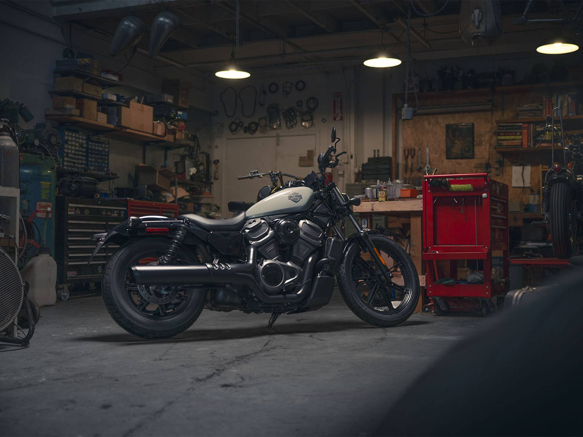 2024 Harley-Davidson Nightster® in Pittsfield, Massachusetts - Photo 13