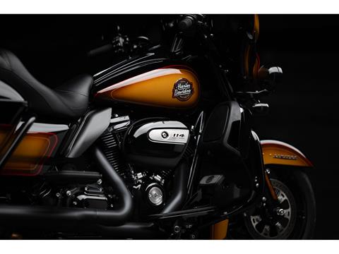 2024 Harley-Davidson Ultra Limited in Athens, Ohio - Photo 15