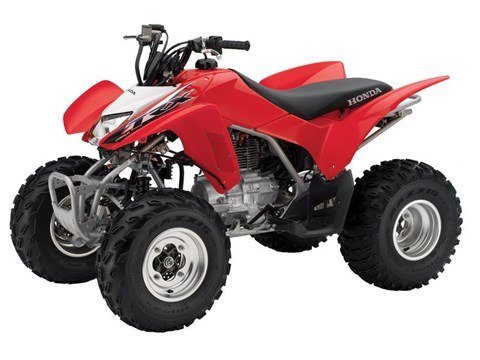 2014 Honda TRX®250X in Hicksville, New York - Photo 3