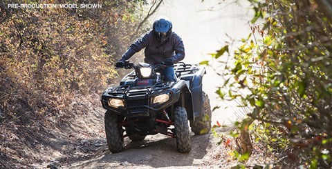 2015 Honda FourTrax Foreman Rubicon 4x4 EPS Deluxe in High Point, North Carolina - Photo 7