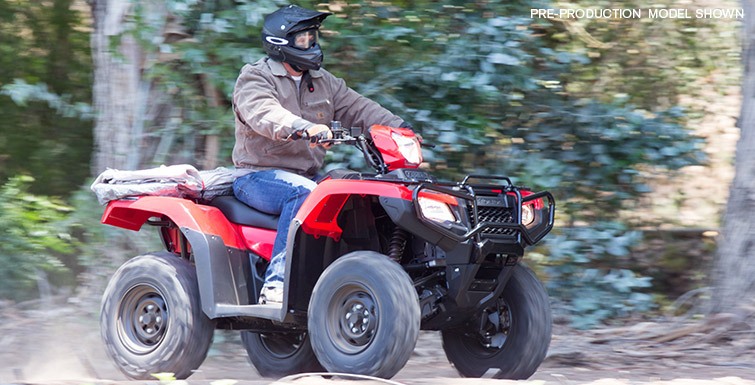 2015 Honda FourTrax Foreman Rubicon 4x4 EPS Deluxe in High Point, North Carolina - Photo 8
