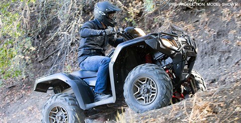 2015 Honda FourTrax Foreman Rubicon 4x4 EPS Deluxe in High Point, North Carolina - Photo 10