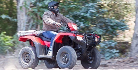 2016 Honda FourTrax Foreman Rubicon 4x4 Automatic DCT EPS Deluxe in Davenport, Iowa - Photo 5