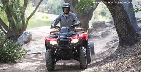 2016 Honda FourTrax Rancher in Elizabethtown, Kentucky - Photo 6