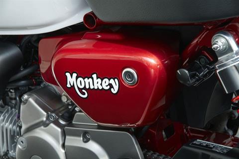2019 Honda Monkey ABS in Madera, California - Photo 9