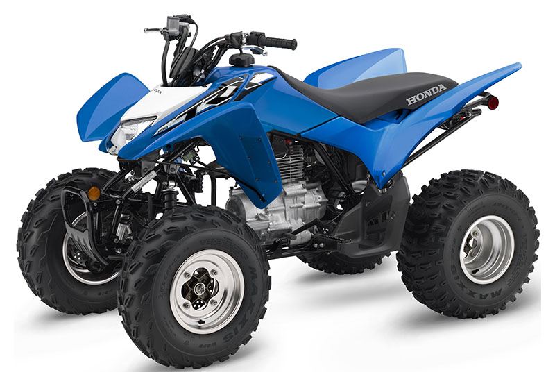 2020 Honda TRX250X in Hendersonville, North Carolina - Photo 8