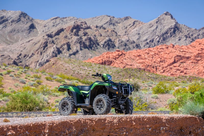 2020 Honda FourTrax Foreman Rubicon 4x4 Automatic DCT EPS in Lima, Ohio - Photo 19