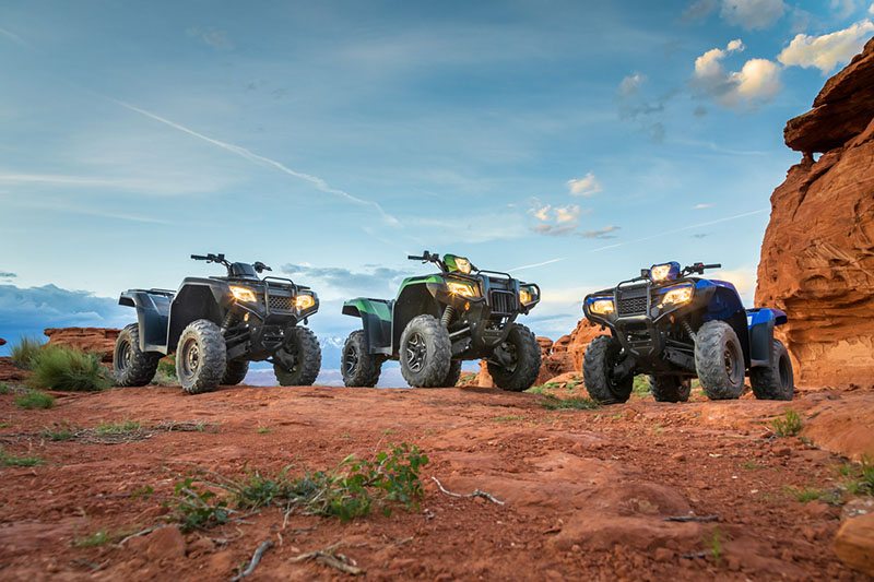 2020 Honda FourTrax Foreman Rubicon 4x4 Automatic DCT EPS in Rapid City, South Dakota - Photo 17