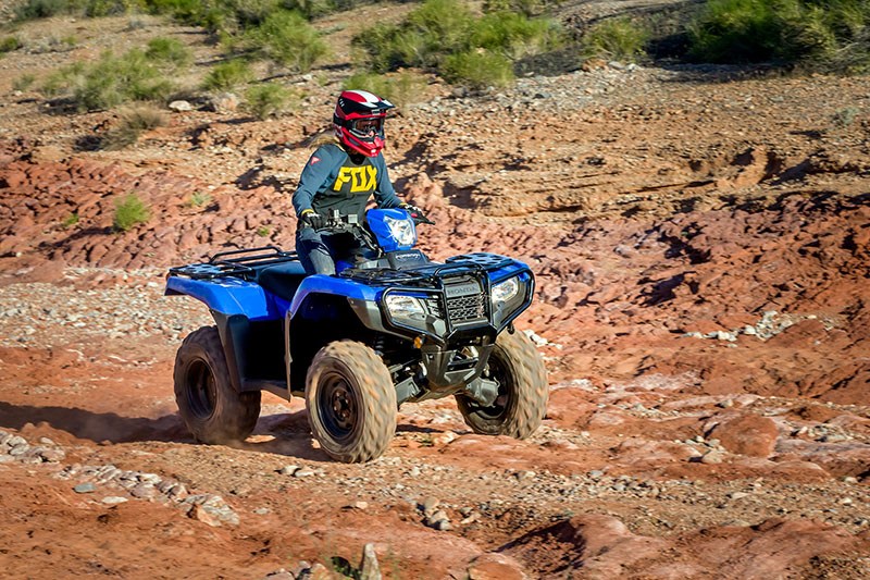 2021 Honda FourTrax Foreman 4x4 ES EPS in Brunswick, Georgia - Photo 4