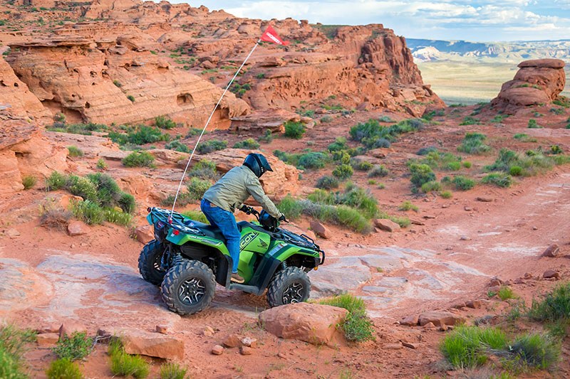 2021 Honda FourTrax Foreman Rubicon 4x4 Automatic DCT EPS in Albuquerque, New Mexico - Photo 3