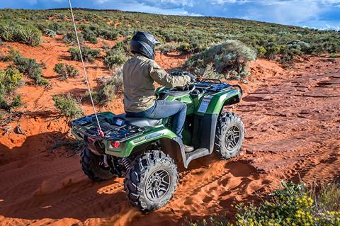 2021 Honda FourTrax Foreman Rubicon 4x4 EPS in Sanford, Florida - Photo 42