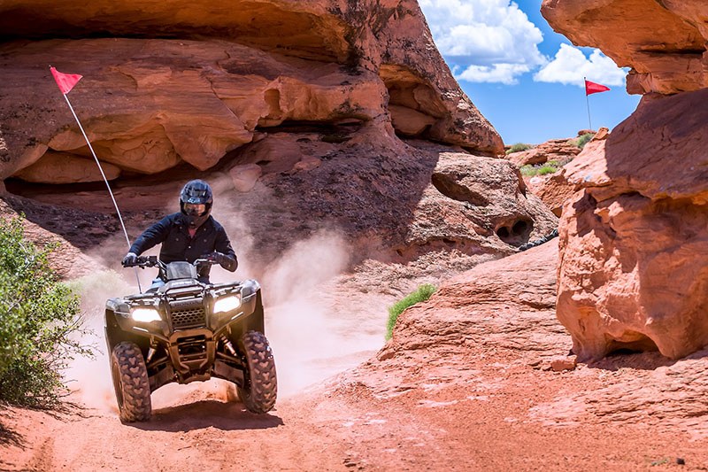 2021 Honda FourTrax Rancher 4x4 Automatic DCT EPS in Albuquerque, New Mexico - Photo 6