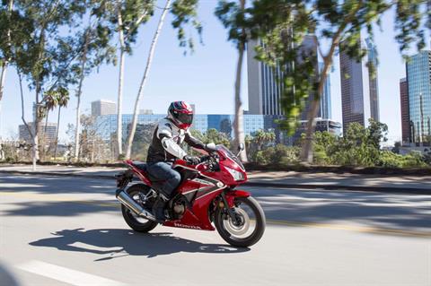 2021 Honda CBR300R in Chico, California - Photo 2