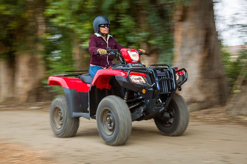 2022 Honda FourTrax Foreman Rubicon 4x4 Automatic DCT EPS in Hudson, Florida - Photo 6