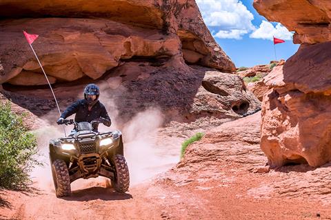 2022 Honda FourTrax Rancher 4x4 Automatic DCT EPS in Albuquerque, New Mexico - Photo 7