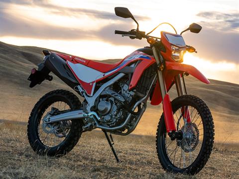 2022 Honda CRF300L in Winchester, Tennessee - Photo 3
