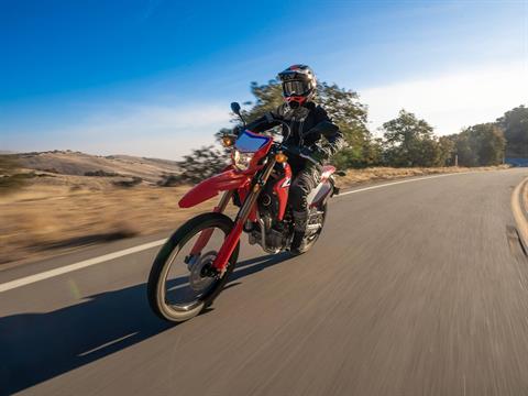 2022 Honda CRF300L in Sterling, Illinois - Photo 4