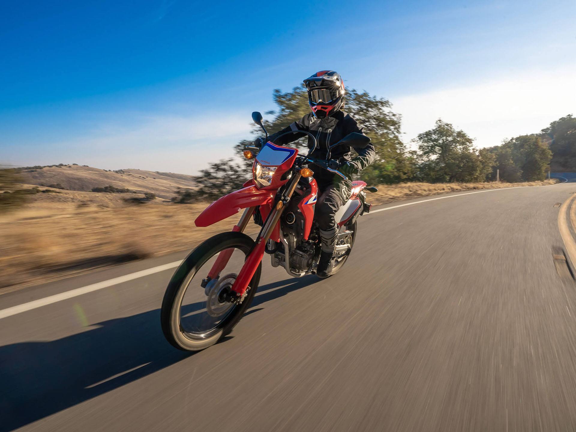 2022 Honda CRF300L ABS in Lincoln, Maine - Photo 4