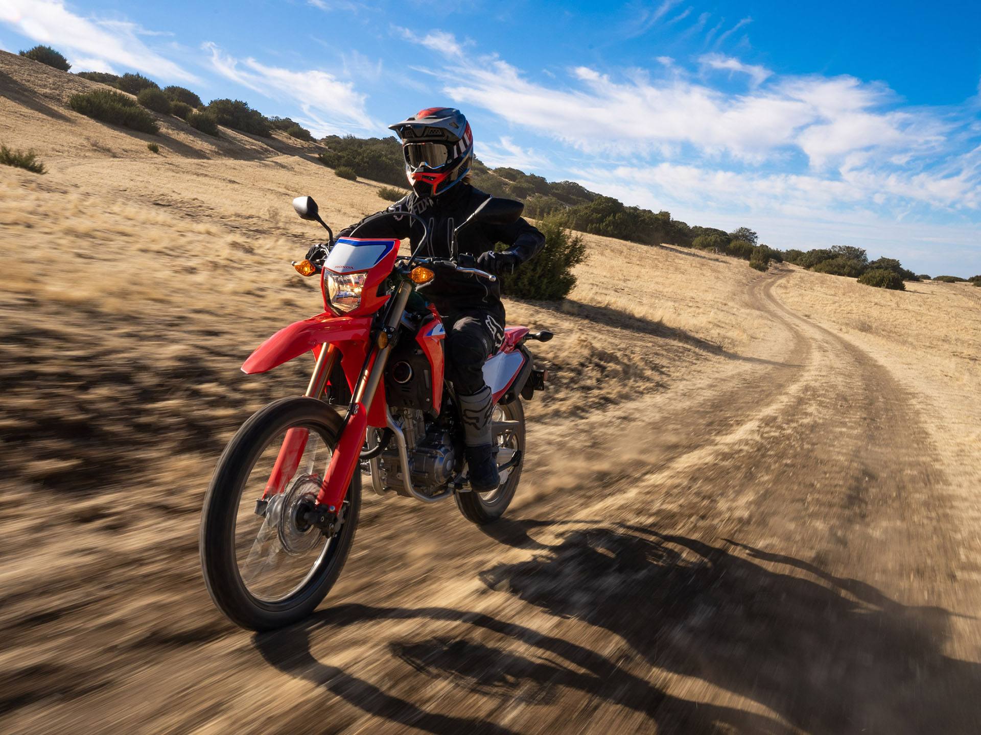 2022 Honda CRF300L ABS in Fremont, California - Photo 5