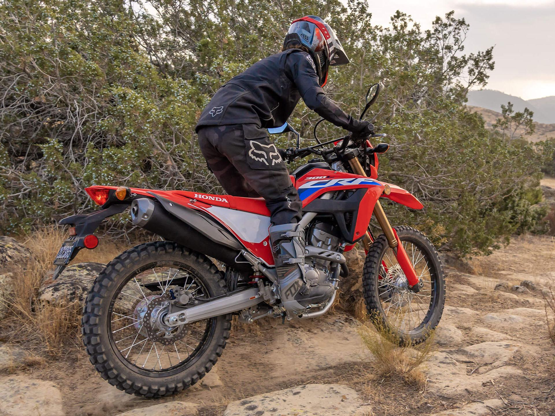 2022 Honda CRF300L ABS in Fremont, California - Photo 6