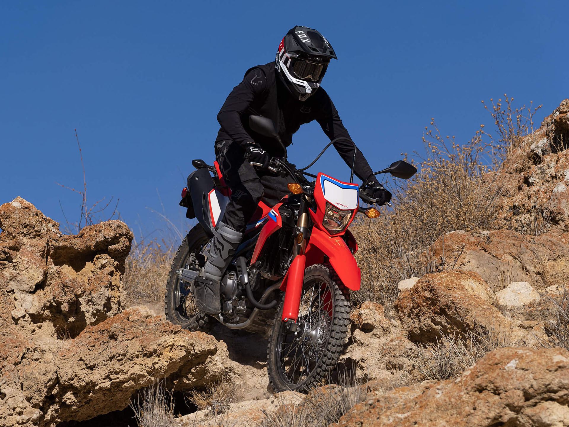 2022 Honda CRF300L ABS in Fremont, California - Photo 7
