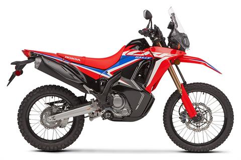 2022 Honda CRF300L Rally in Johnson City, Tennessee