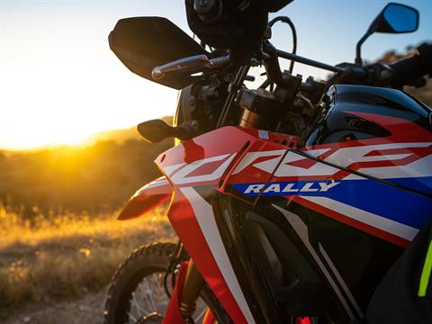 2022 Honda CRF300L Rally ABS in Chico, California - Photo 2