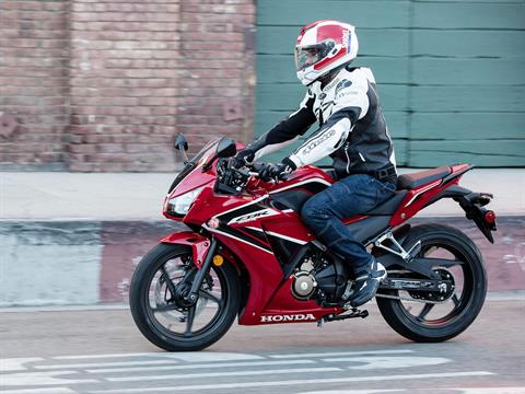 2022 Honda CBR300R ABS in Merced, California - Photo 5