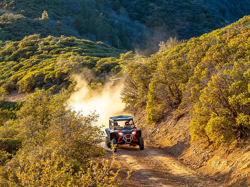 2022 Honda Talon 1000R FOX Live Valve in Aurora, Illinois