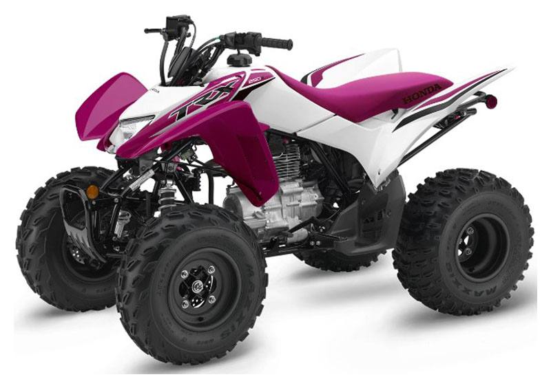 2023 Honda TRX250X in Winchester, Tennessee