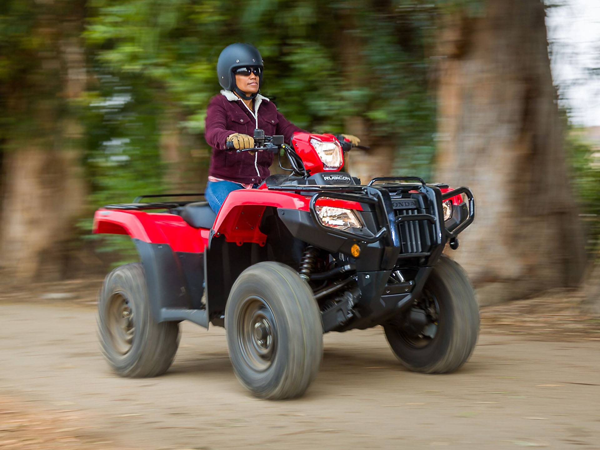 2023 Honda FourTrax Foreman Rubicon 4x4 Automatic DCT EPS in Crystal Lake, Illinois - Photo 6
