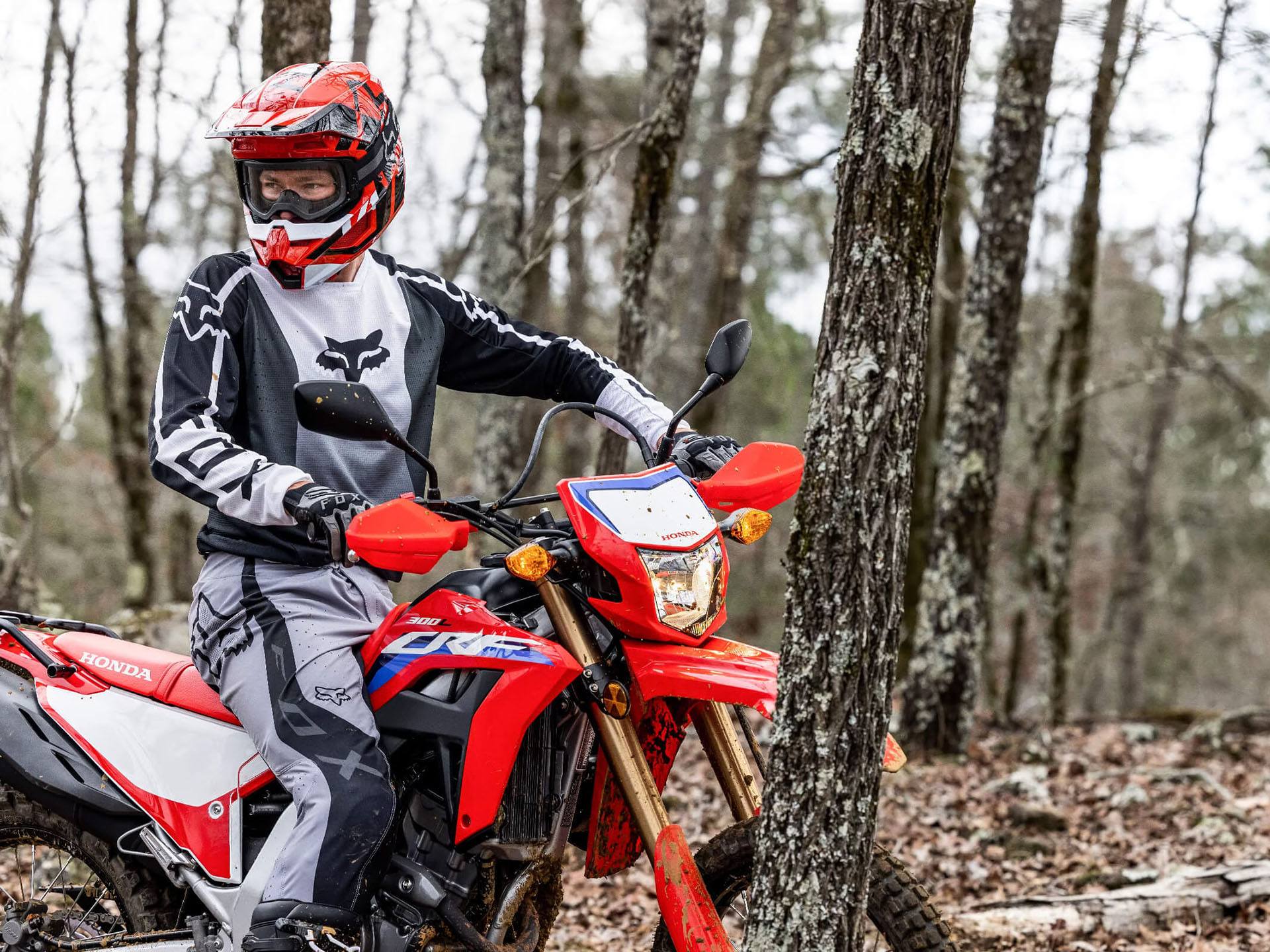 2023 Honda CRF300L in Crossville, Tennessee - Photo 10
