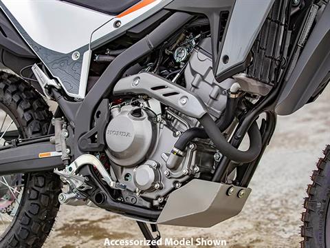 2023 Honda CRF300LS in Winchester, Tennessee - Photo 2
