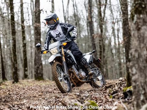 2023 Honda CRF300LS in Winchester, Tennessee - Photo 7