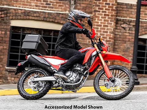 2023 Honda CRF300L ABS in Crossville, Tennessee - Photo 4
