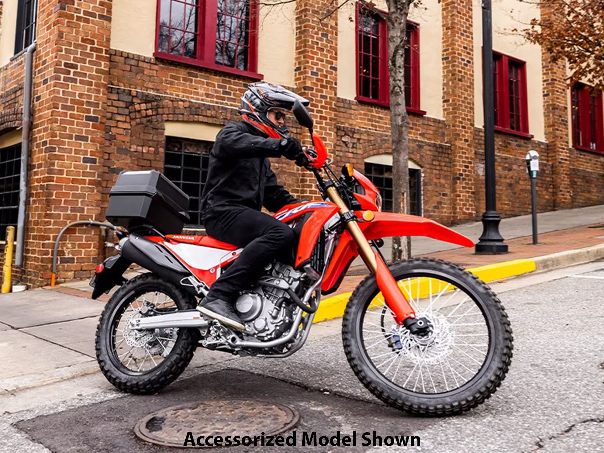 2023 Honda CRF300L ABS in Gulfport, Mississippi - Photo 5