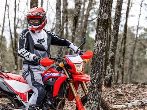 2023 Honda CRF300L ABS in Amherst, Ohio - Photo 7