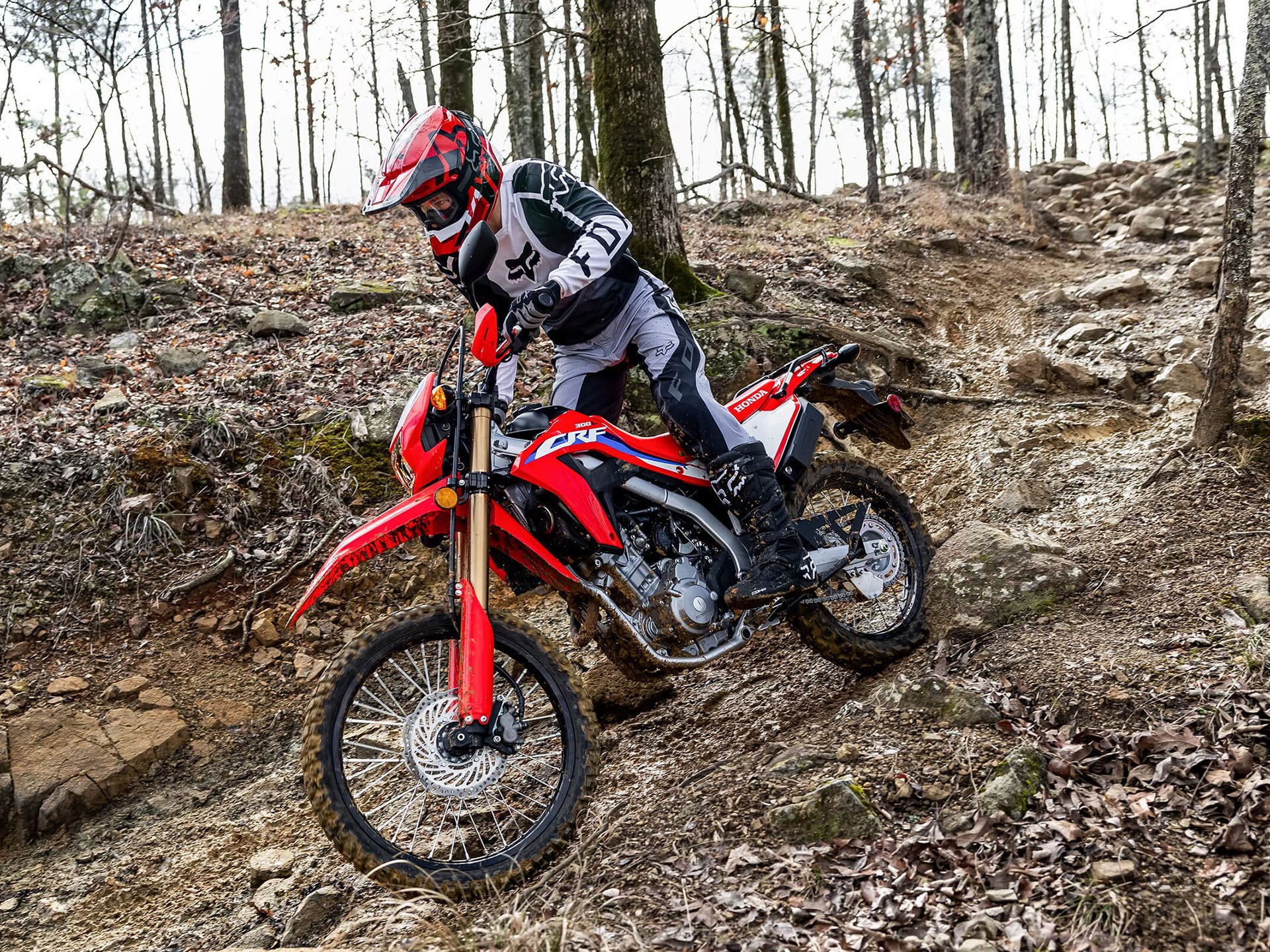 2023 Honda CRF300L ABS in New Haven, Connecticut - Photo 10