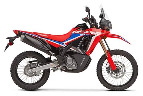 2023 Honda CRF300L Rally in Crossville, Tennessee