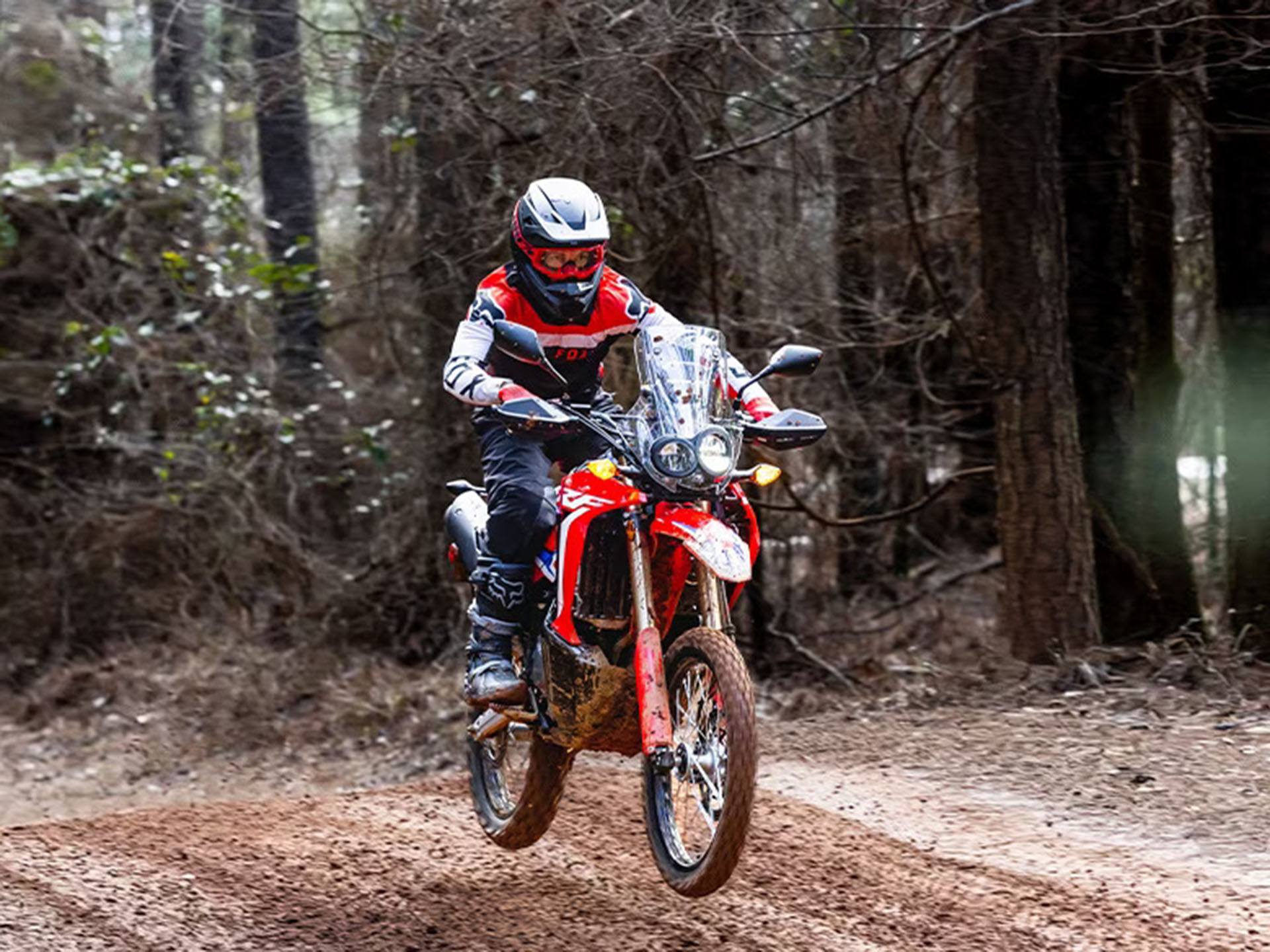 2023 Honda CRF300L Rally in Purvis, Mississippi - Photo 4