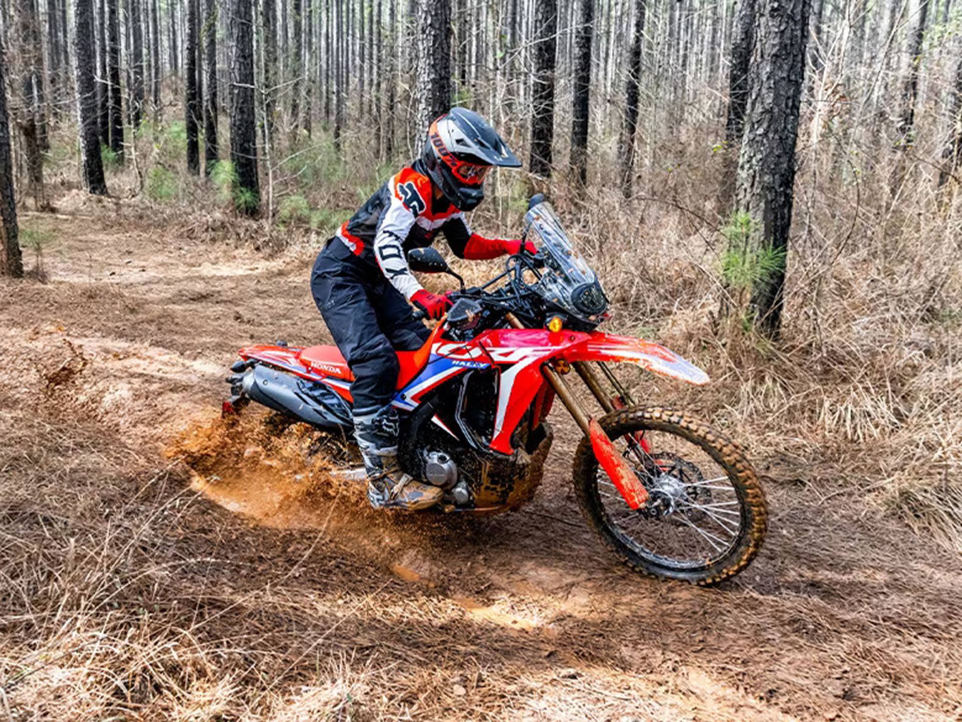 2023 Honda CRF300L Rally in Brookhaven, Mississippi - Photo 5
