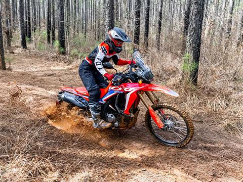 2023 Honda CRF300L Rally in Purvis, Mississippi - Photo 5