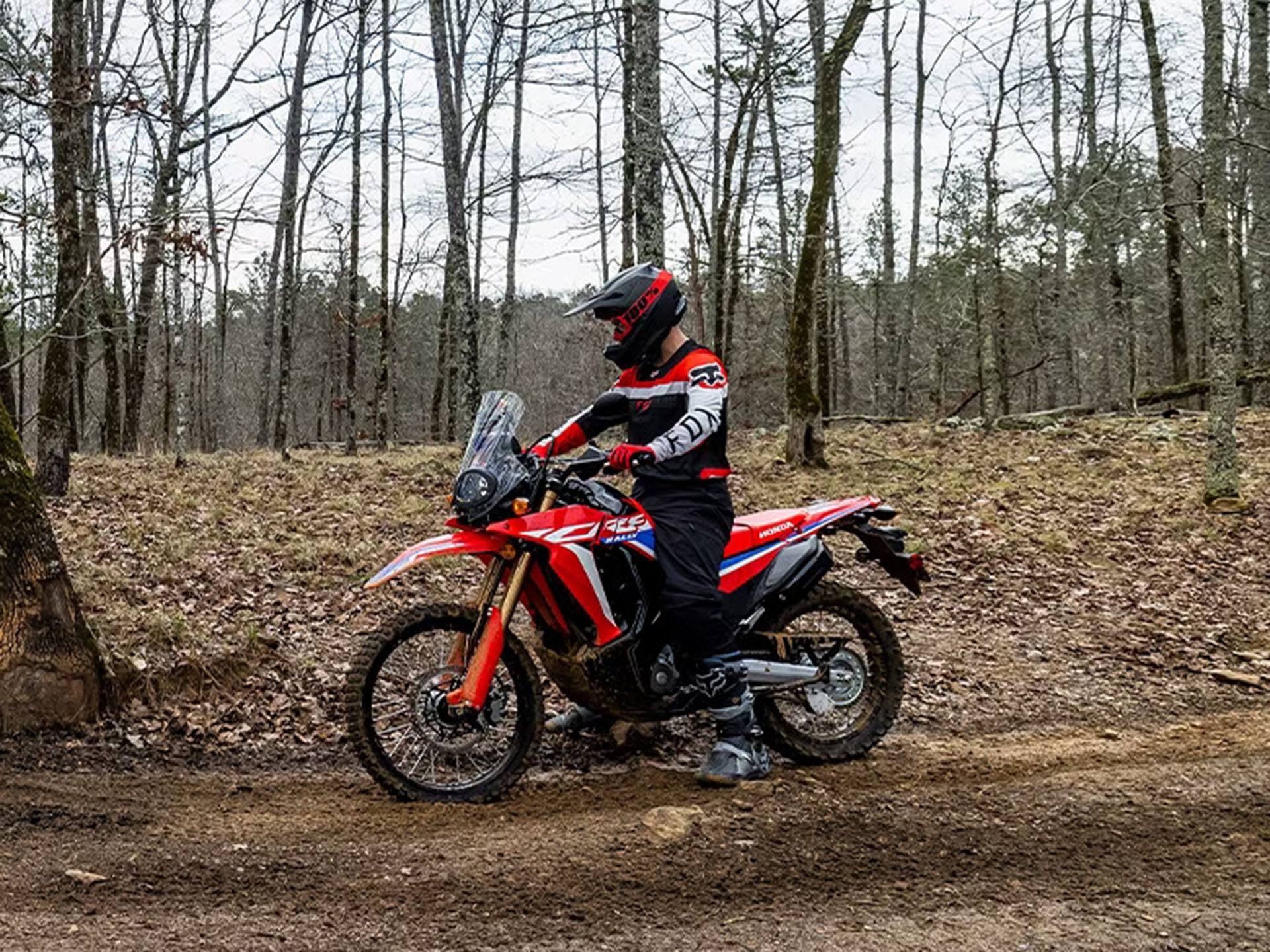 2023 Honda CRF300L Rally in Middletown, New York - Photo 6