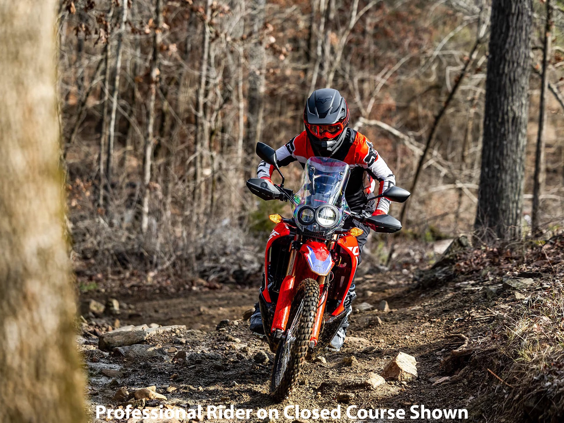 2023 Honda CRF300L Rally in Lincoln, Maine - Photo 8